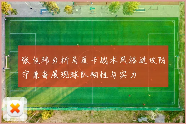 张佳玮分析乌度卡战术风格进攻防守兼备展现球队韧性与实力