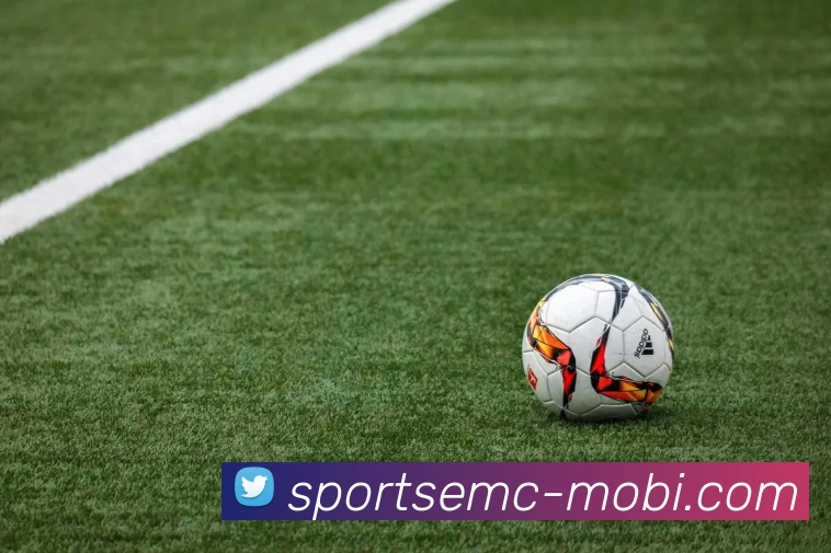 易倍体育APP 封面图